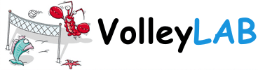 Volleylab